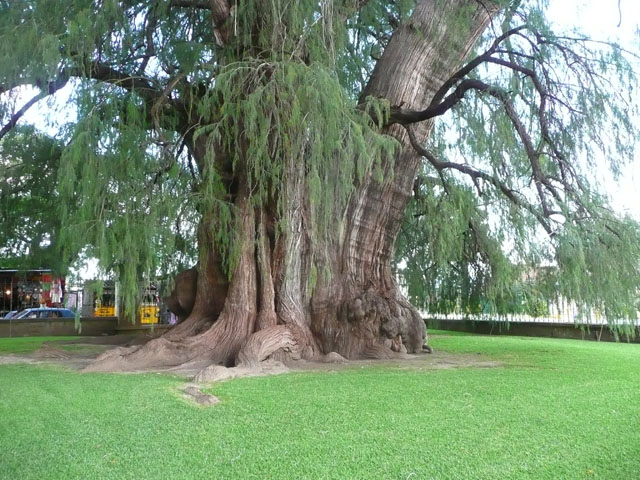 P1050188