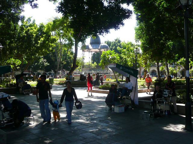 P1050219
