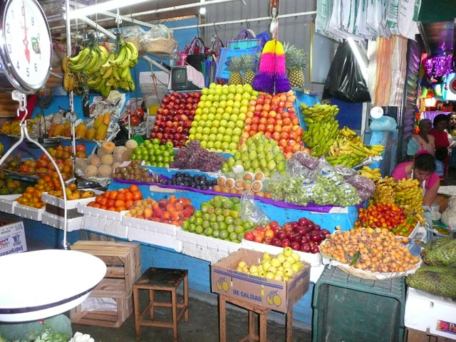 P1050237