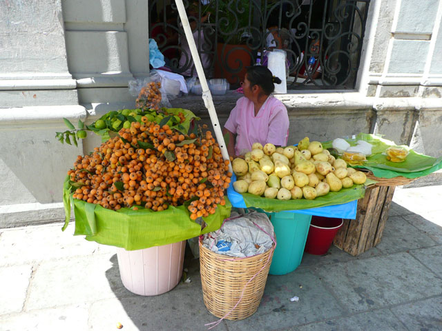 P1050279