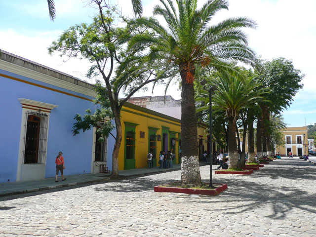 P1050304