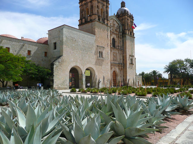 P1050313
