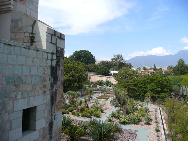 P1050331