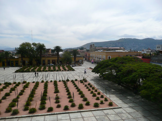 P1050337
