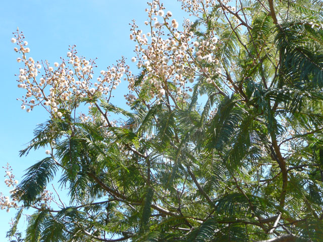 P1050465