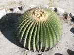 P1050164