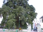 P1050195