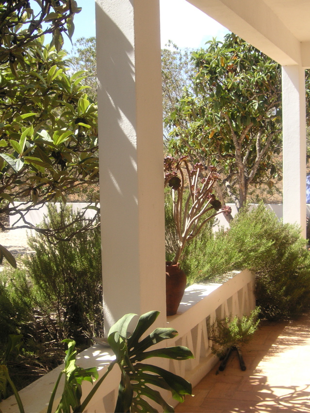 PICT0196.JPG