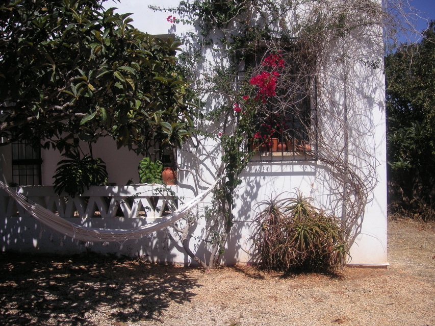 PICT0201.JPG