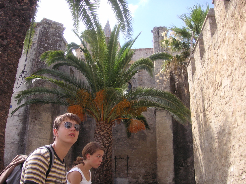 PICT0207.JPG