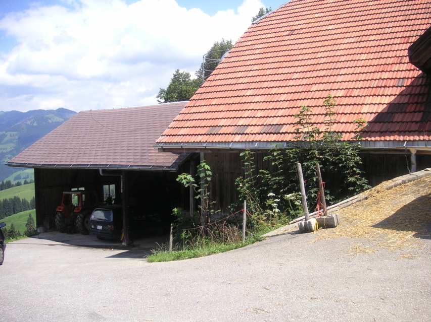 PICT0221.JPG